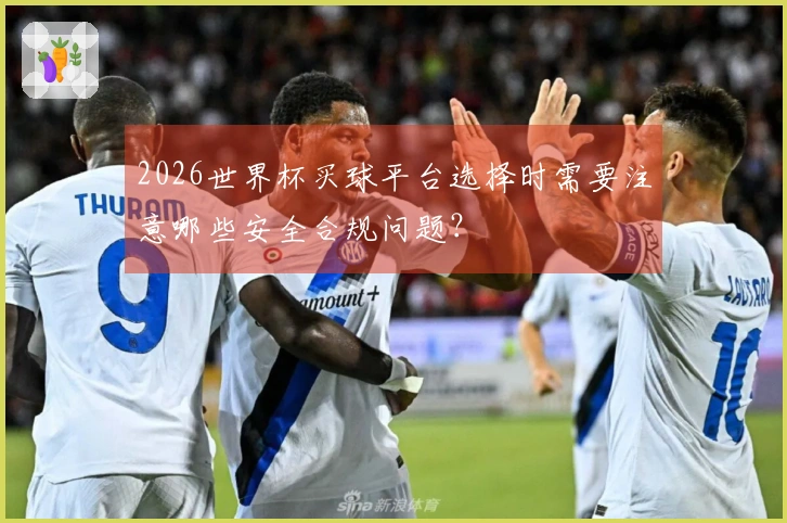 2026世界杯买球平台选择时需要注意哪些安全合规问题？