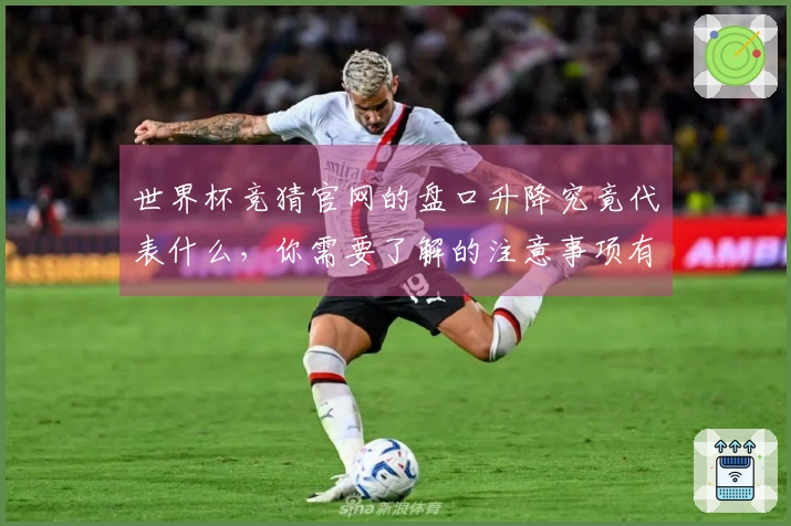 世界杯竞猜官网的盘口升降究竟代表什么，你需要了解的注意事项有哪些