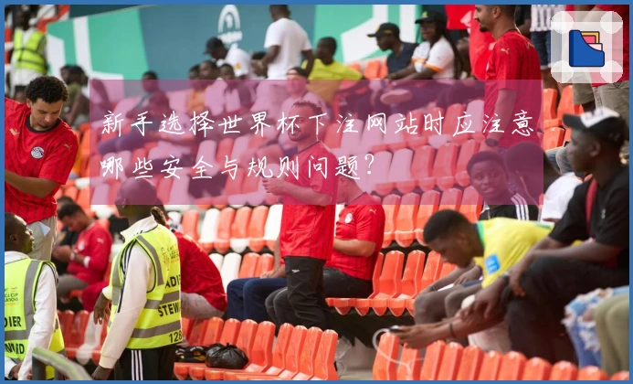 新手选择世界杯下注网站时应注意哪些安全与规则问题？
