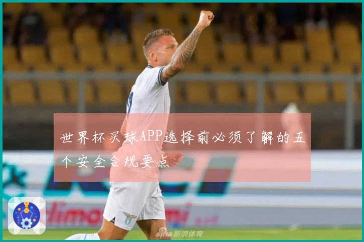 世界杯买球APP选择前必须了解的五个安全合规要点