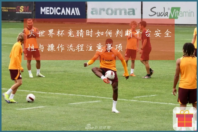 买世界杯竞猜时如何判断平台安全性与操作流程注意事项
