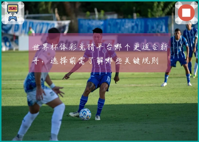 世界杯体彩竞猜平台哪个更适合新手,选择前需了解哪些关键规则