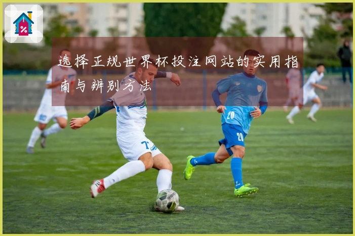 选择正规世界杯投注网站的实用指南与辨别方法