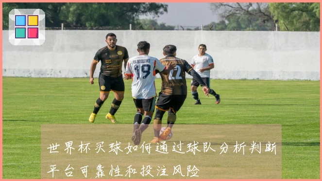 世界杯买球如何通过球队分析判断平台可靠性和投注风险