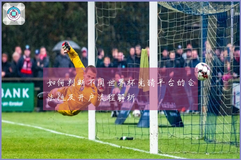 如何判断不同世界杯竞猜平台的合法性及开户流程解析
