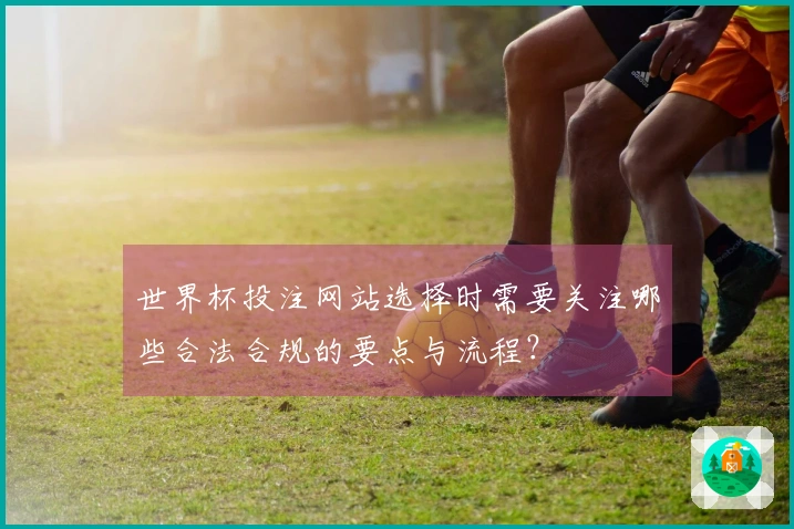 世界杯投注网站选择时需要关注哪些合法合规的要点与流程？