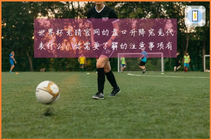 世界杯竞猜官网的盘口升降究竟代表什么，你需要了解的注意事项有哪些