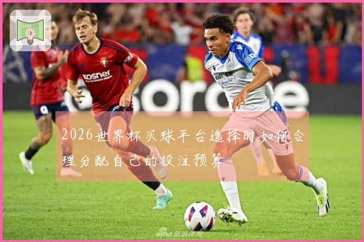 2026世界杯买球平台选择时如何合理分配自己的投注预算