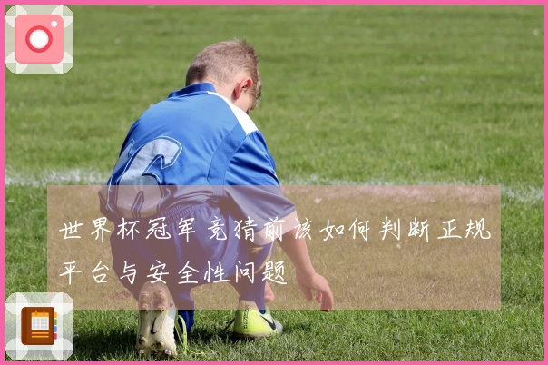 世界杯冠军竞猜前该如何判断正规平台与安全性问题
