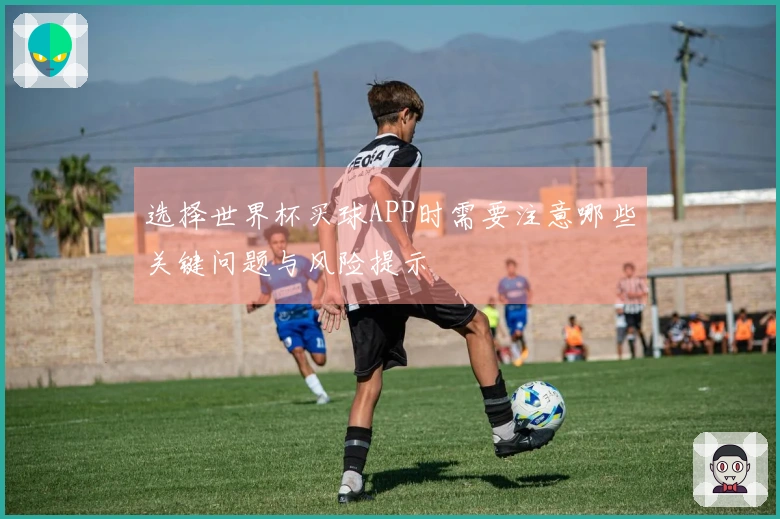 选择世界杯买球APP时需要注意哪些关键问题与风险提示
