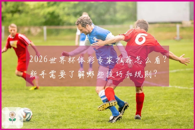 2026世界杯体彩专家推荐怎么看？新手需要了解哪些技巧和规则？