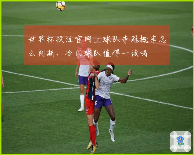世界杯投注官网上球队夺冠概率怎么判断，冷门球队值得一试吗