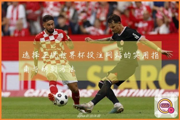 选择正规世界杯投注网站的实用指南与辨别方法