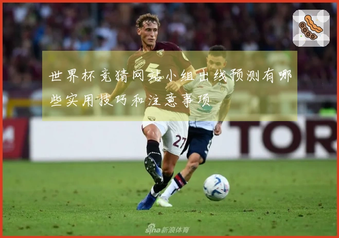 世界杯竞猜网站小组出线预测有哪些实用技巧和注意事项