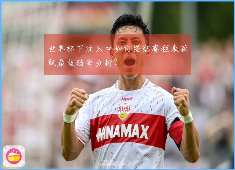 世界杯下注入口如何搭配赛程表获取最佳赔率分析？