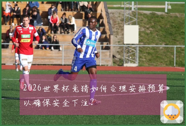 2026世界杯竞猜如何合理安排预算以确保安全下注？