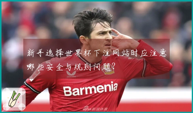 新手选择世界杯下注网站时应注意哪些安全与规则问题？