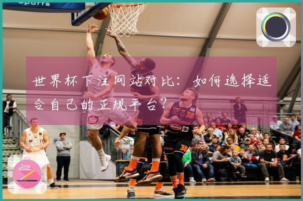 世界杯下注网站对比：如何选择适合自己的正规平台？