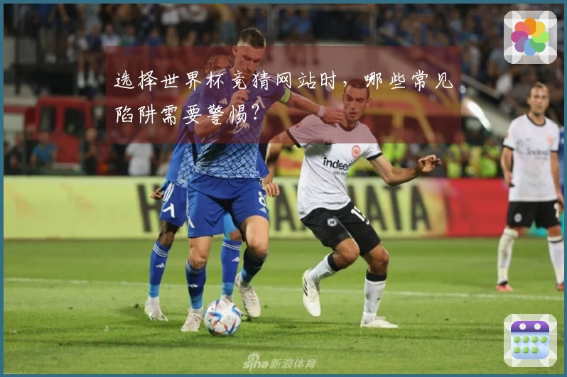 选择世界杯竞猜网站时，哪些常见陷阱需要警惕？
