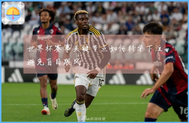 世界杯赛事关键节点如何科学下注避免盲目跟风