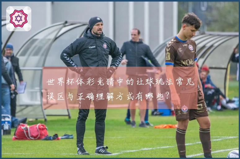 世界杯体彩竞猜中的让球玩法常见误区与正确理解方式有哪些？