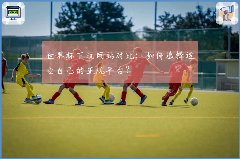 世界杯下注网站对比：如何选择适合自己的正规平台？