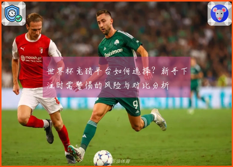世界杯竞猜平台如何选择？新手下注时需警惕的风险与对比分析