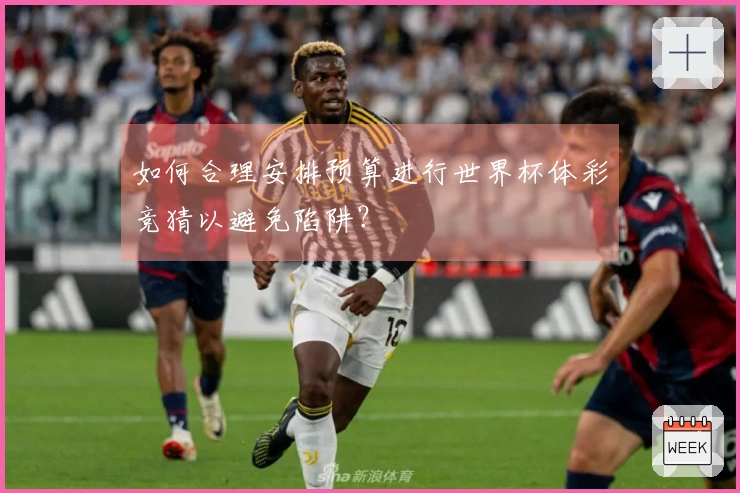 如何合理安排预算进行世界杯体彩竞猜以避免陷阱？