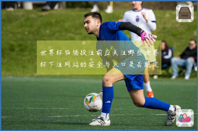 世界杯临场投注前应关注哪些世界杯下注网站的安全与入口是否稳定