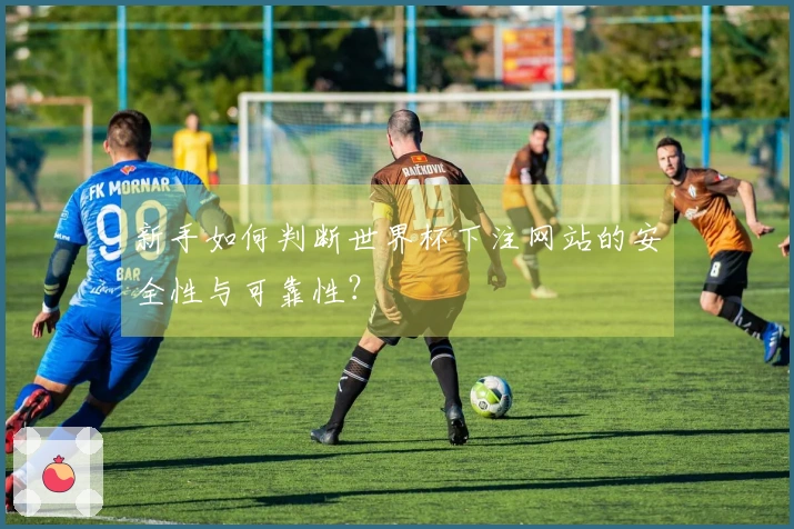 新手如何判断世界杯下注网站的安全性与可靠性？