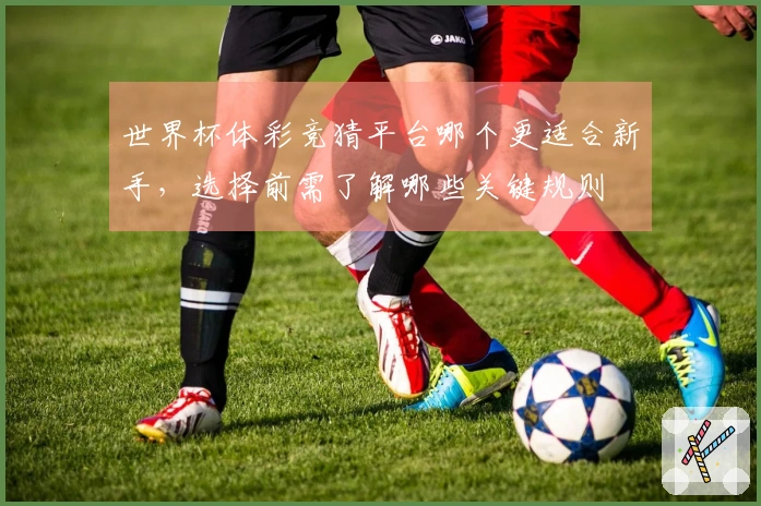 世界杯体彩竞猜平台哪个更适合新手，选择前需了解哪些关键规则