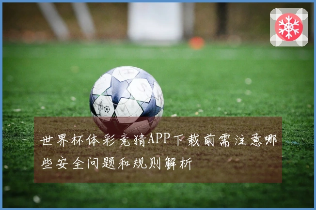 世界杯体彩竞猜APP下载前需注意哪些安全问题和规则解析