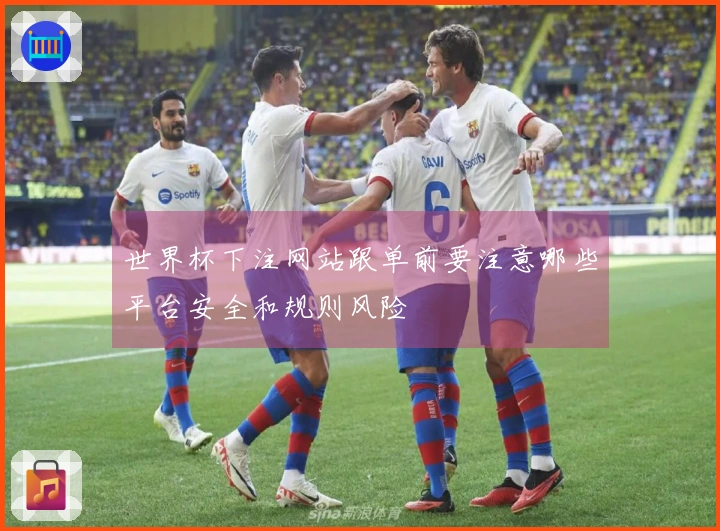 世界杯下注网站跟单前要注意哪些平台安全和规则风险