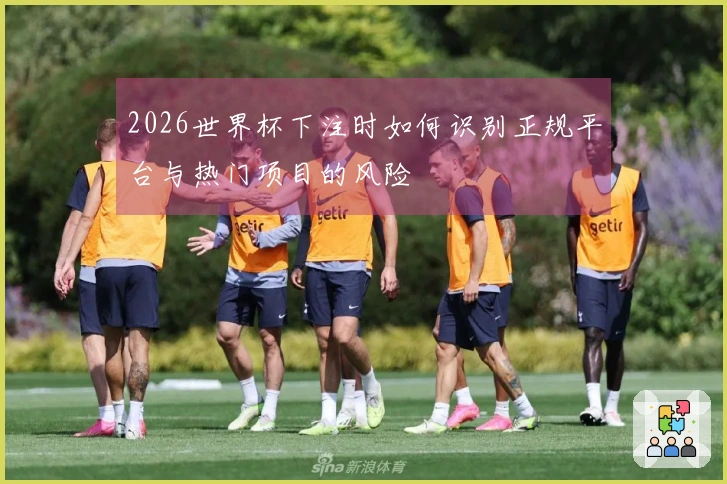 2026世界杯下注时如何识别正规平台与热门项目的风险