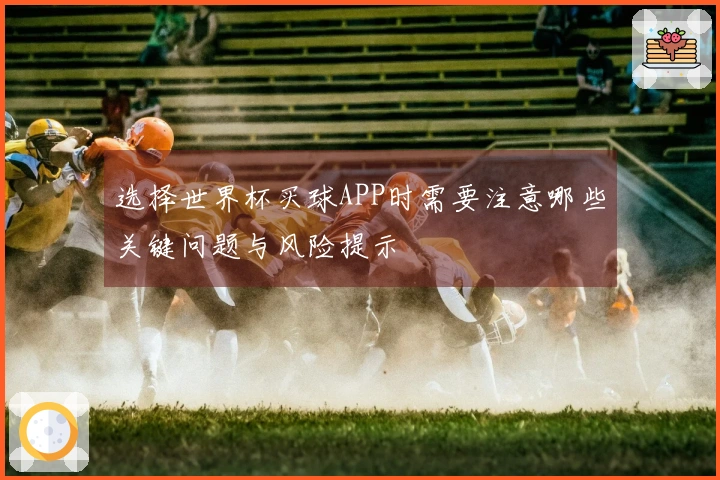 选择世界杯买球APP时需要注意哪些关键问题与风险提示