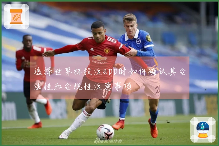 选择世界杯投注app时如何确认其合法性和合规性注意事项